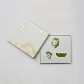 徽章套装